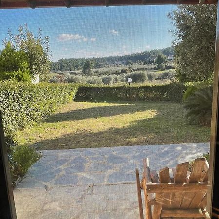 Villa Pino Pueblo Paliouri Exteriör bild